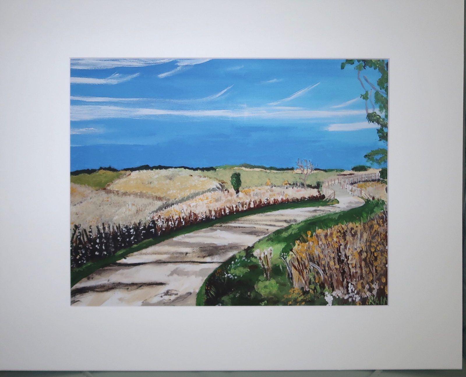 Matted giclée print of Bull Creek Trail II by Uta Raina
